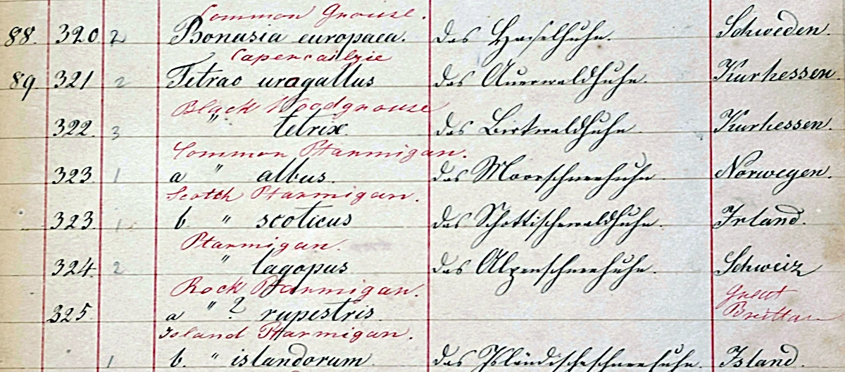 Detail from an 1858 bird-egg catalogue associated with the What Cheer House Museum.