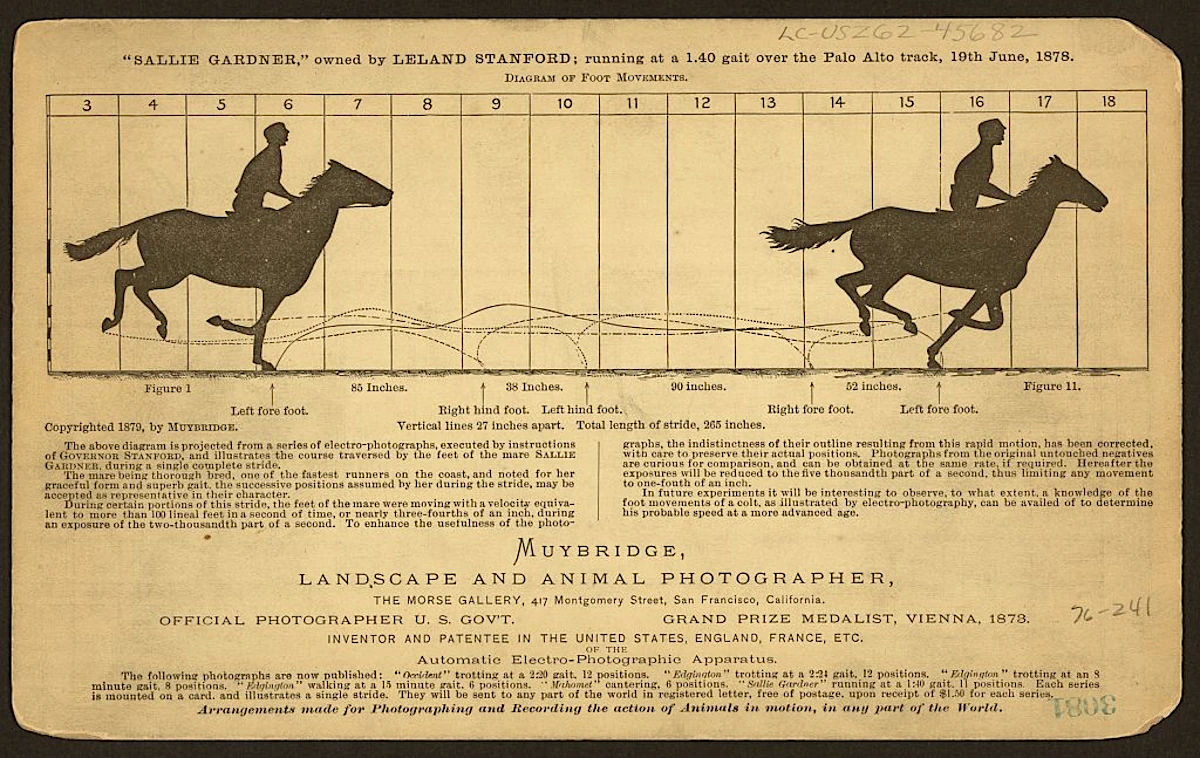 Cabinet card showing Sallie Gardner galloping at Palo Alto in 1878, with sequential hoof-position diagrams beneath the image.